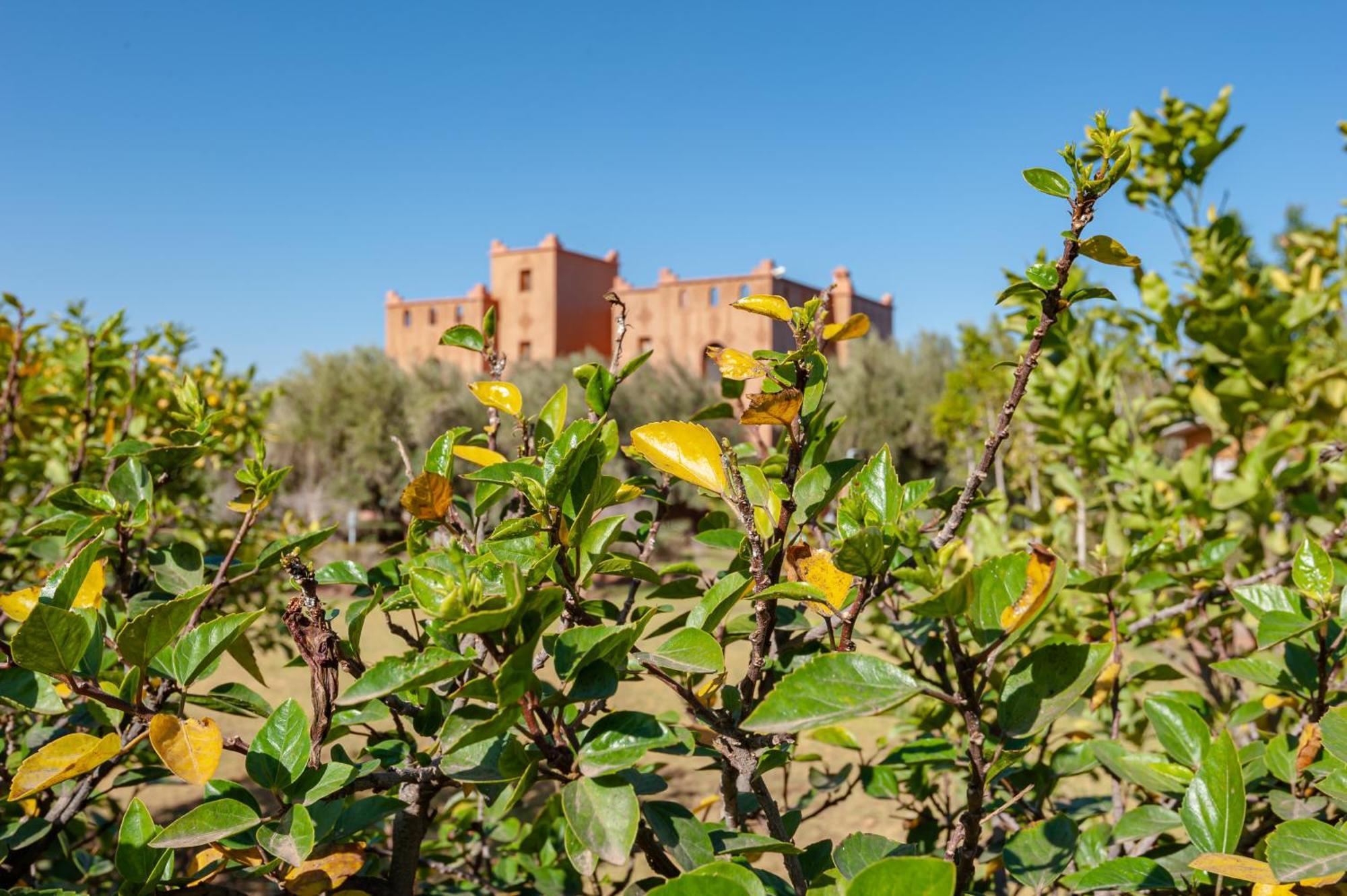 Ferme Sidi Safou & Spa Villa Marakeş Dış mekan fotoğraf