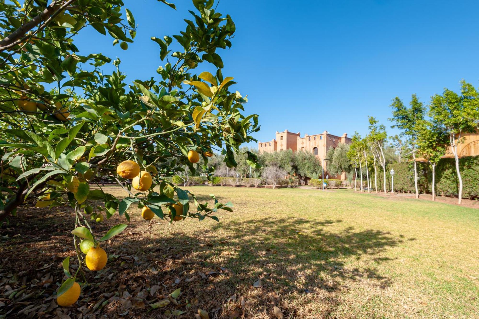 Ferme Sidi Safou & Spa Villa Marakeş Dış mekan fotoğraf